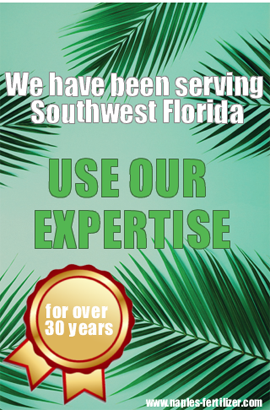 we have been serving southwest florida for over 30 years